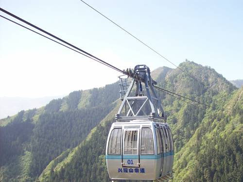 W020241121369702195884