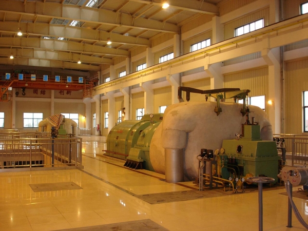 W020241121370513619889