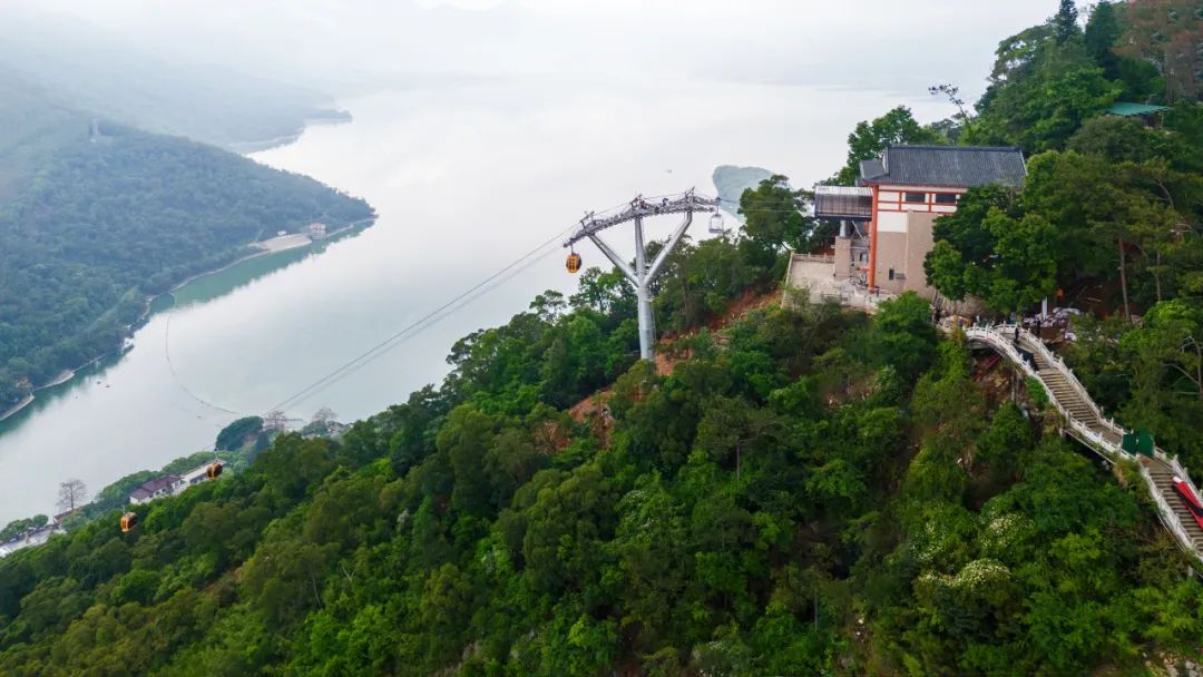 中国·885566威尼斯(股份)有限公司-官方网站