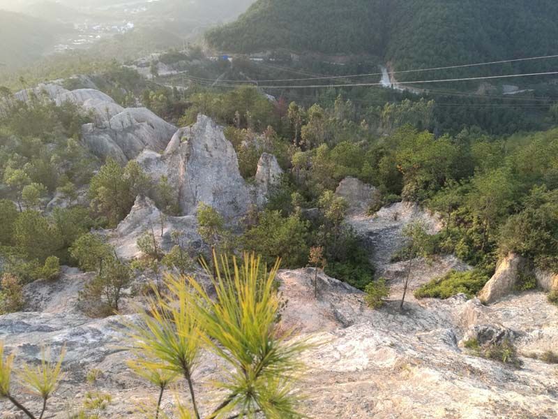 W020241119527188996948