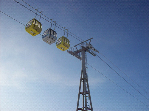 W020241119528341889251