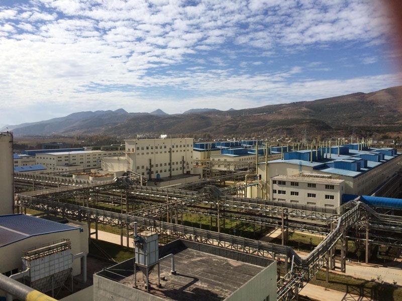 W020241119525558593499